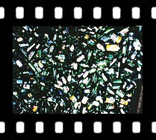 green bottles